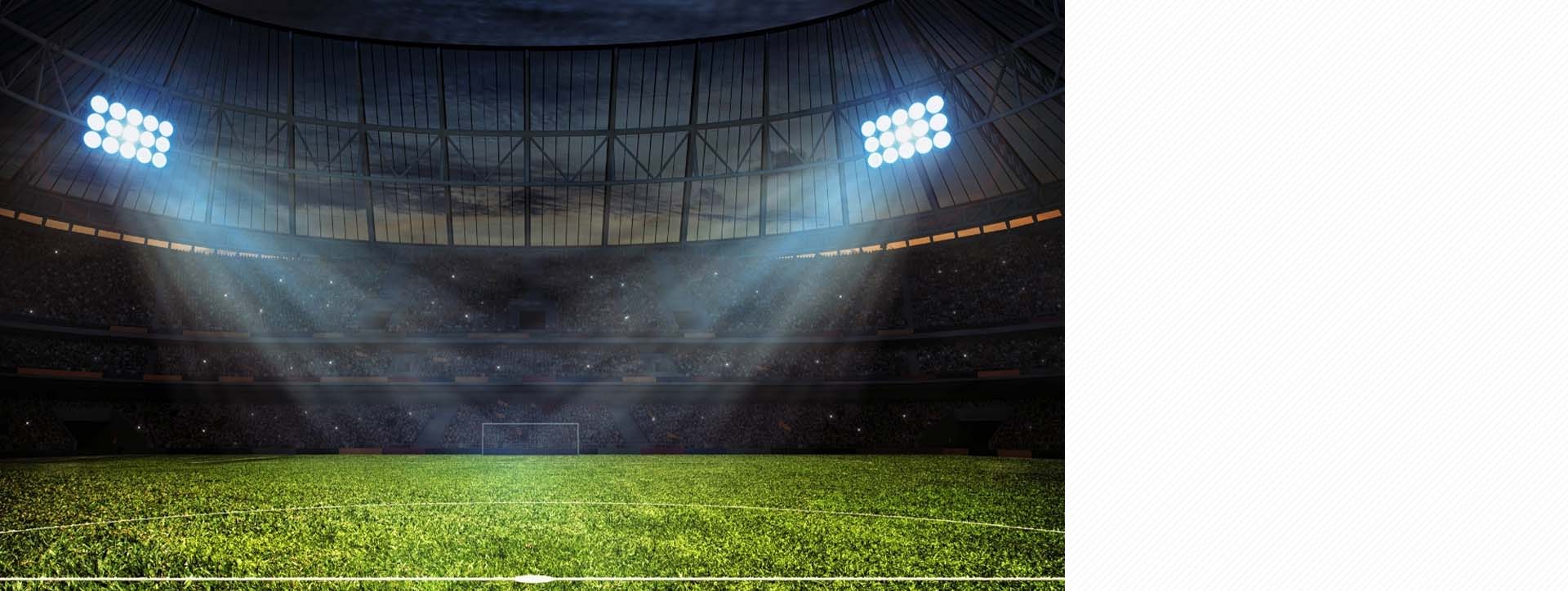 Comprehensive Solutions for Gaming, Sports, and Leisure