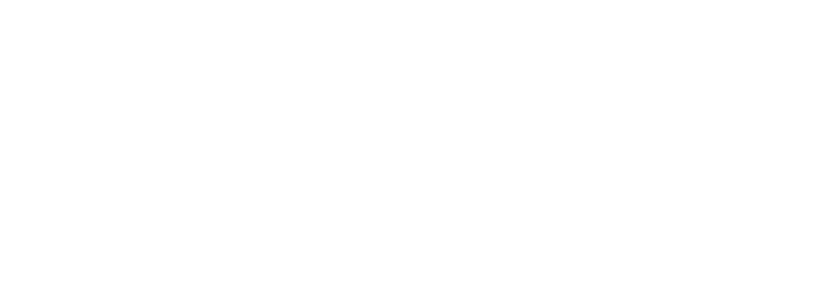Zengin Dijital